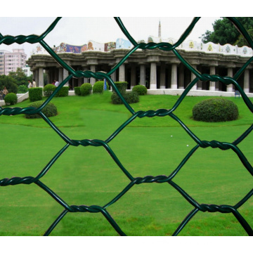 PVC Coated Hexagonal Mesh (XMH09)